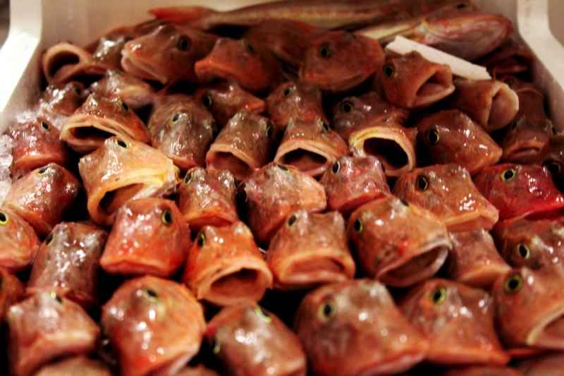 pesce fresco e pesce azzurro dell'adriatico. fornitori prodotti ittici adriatico san benedetto del tronto in tutta italia