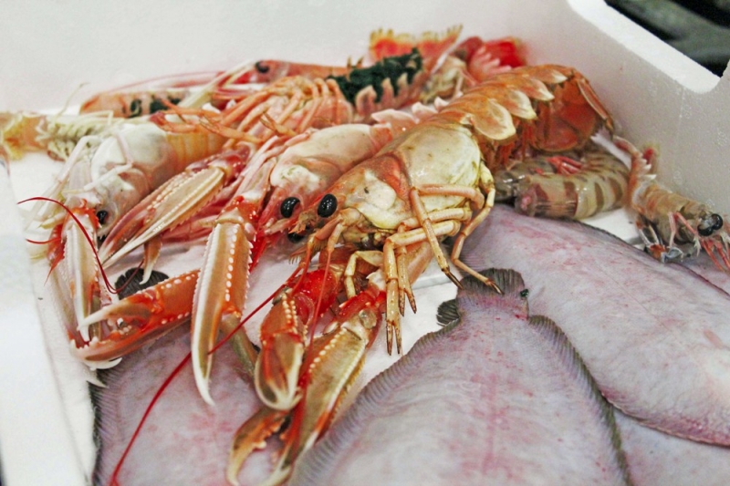 pesce fresco e pesce azzurro dell'adriatico. fornitori prodotti ittici adriatico san benedetto del tronto in tutta italia