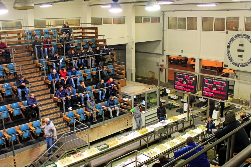 Spalti pieni all'asta del mercato ittico san benedetto del tronto