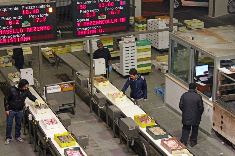 pesce sempre fresco al mercato ittico San Benedetto del Tronto