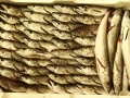 pesce fresco del mare adriatico. leader nel commercio prodotti ittici san benedetto del tronto