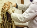 In magazzino si procede alla lavorazione del pesce fresco di San Benedetto del Tronto