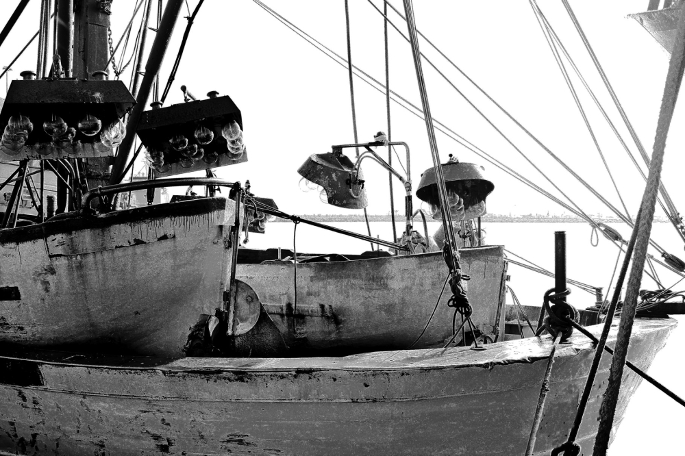 mare-0009-e1421827856904